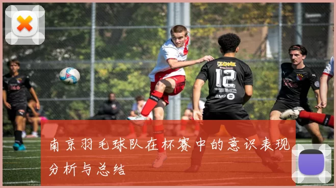 南京羽毛球队在杯赛中的意识表现分析与总结