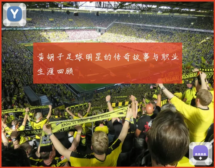 黄胡子足球明星的传奇故事与职业生涯回顾