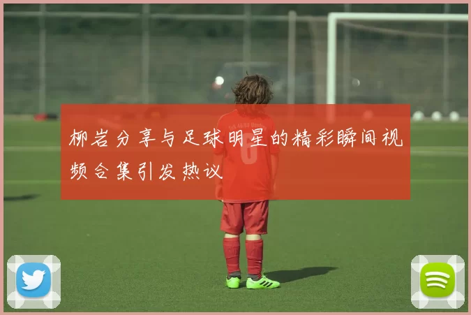 柳岩分享与足球明星的精彩瞬间视频合集引发热议