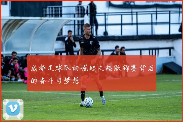 成都足球队的崛起之路欧锦赛背后的奋斗与梦想