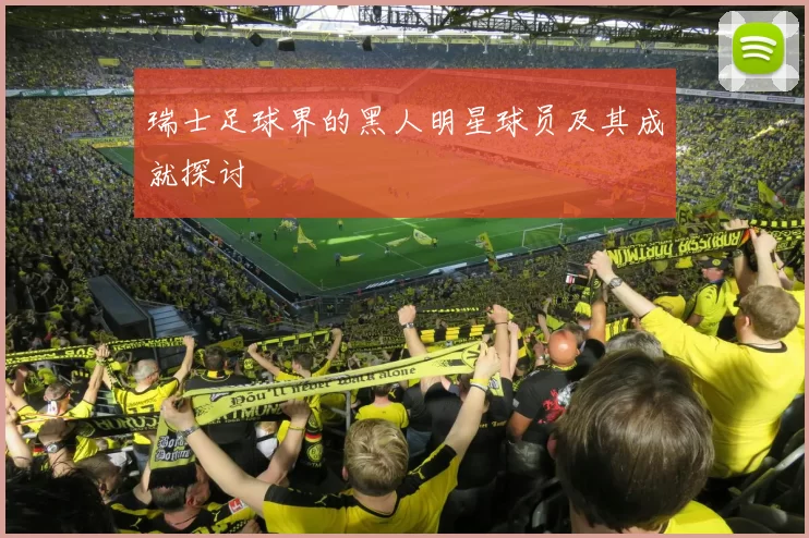 瑞士足球界的黑人明星球员及其成就探讨