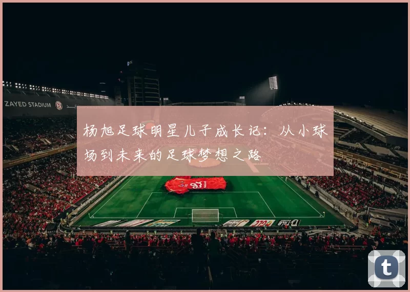 杨旭足球明星儿子成长记：从小球场到未来的足球梦想之路