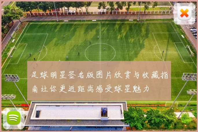 足球明星签名版图片欣赏与收藏指南让你更近距离感受球星魅力