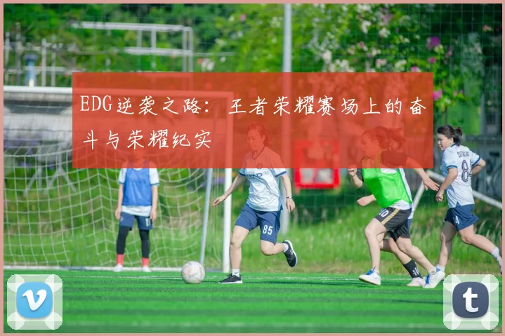 EDG逆袭之路：王者荣耀赛场上的奋斗与荣耀纪实