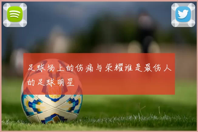 足球场上的伤痛与荣耀谁是最伤人的足球明星