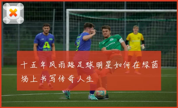 十五年风雨路足球明星如何在绿茵场上书写传奇人生