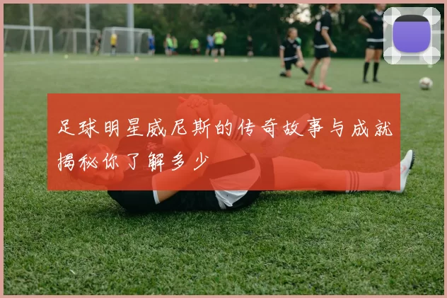 足球明星威尼斯的传奇故事与成就揭秘你了解多少
