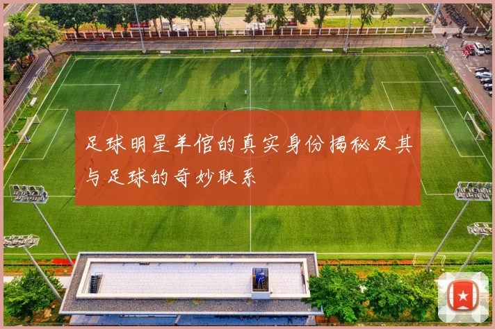 足球明星羊倌的真实身份揭秘及其与足球的奇妙联系