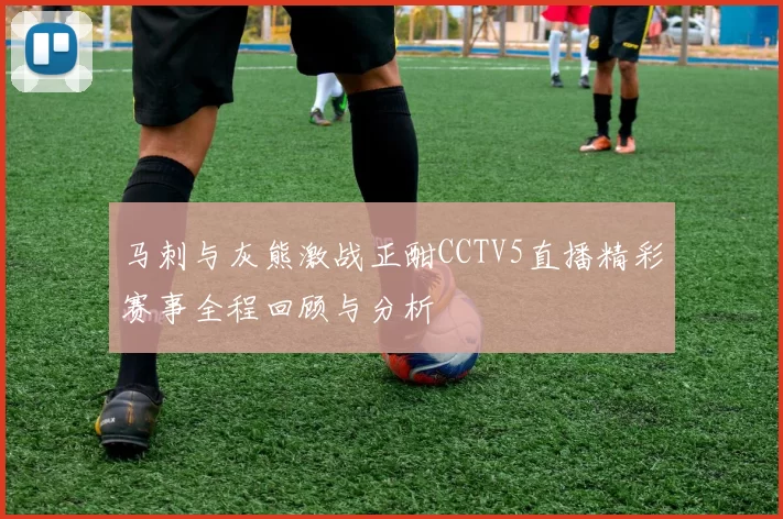 马刺与灰熊激战正酣CCTV5直播精彩赛事全程回顾与分析