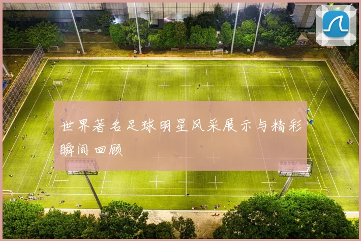世界著名足球明星风采展示与精彩瞬间回顾