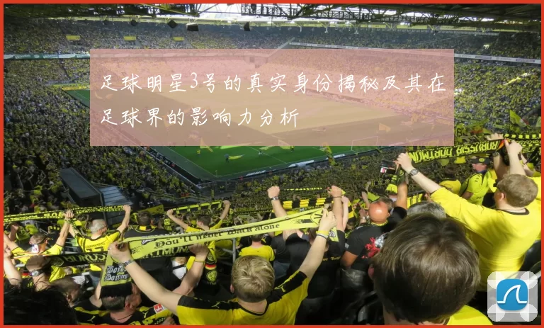 足球明星3号的真实身份揭秘及其在足球界的影响力分析