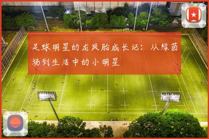 足球明星的龙凤胎成长记：从绿茵场到生活中的小明星