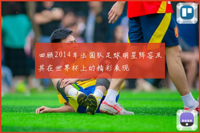 回顾2014年法国队足球明星阵容及其在世界杯上的精彩表现